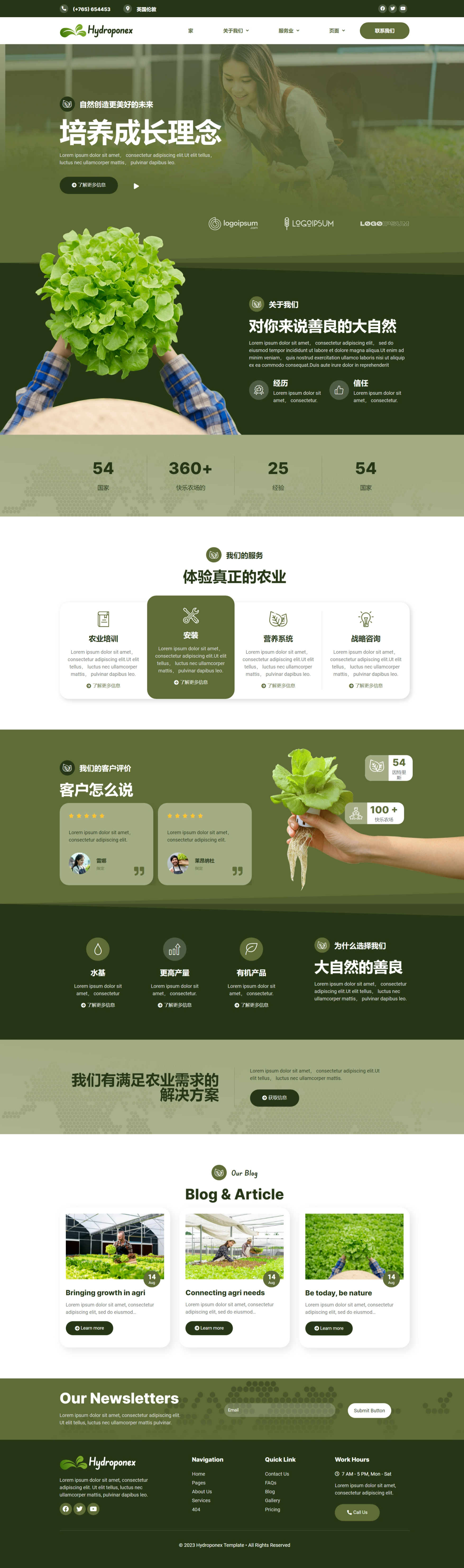 Hydroponex – 水培和农业 Elementor Template Kit模板套件 首页演示