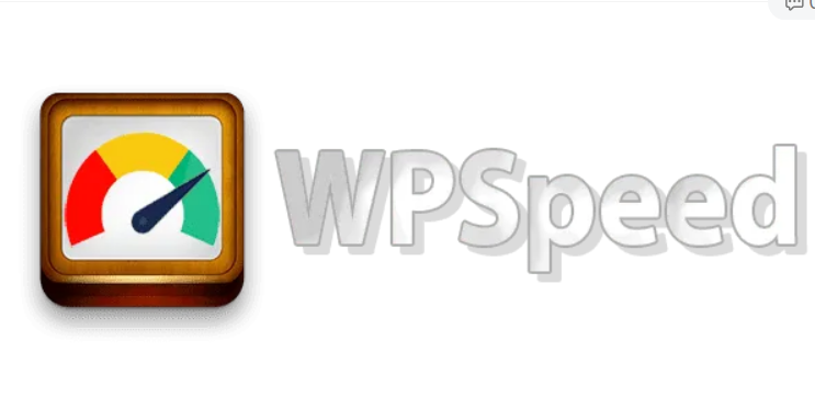 WPSpeed PRO 汉化版-Google PageSpeed分数优化静态缓存插件